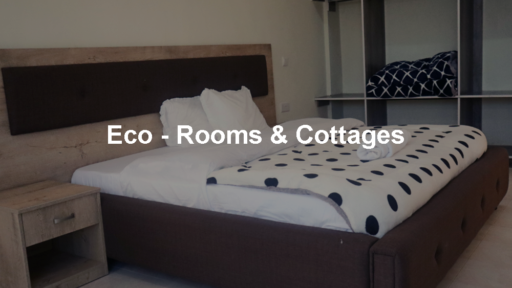 eco-rooms